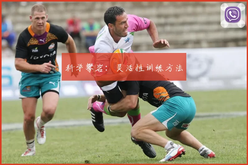 科学攀岩：灵活性训练方法