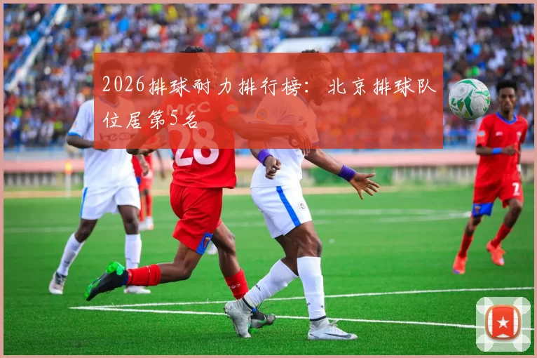 2026排球耐力排行榜：北京排球队位居第5名